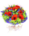 echo �Ӷ���;