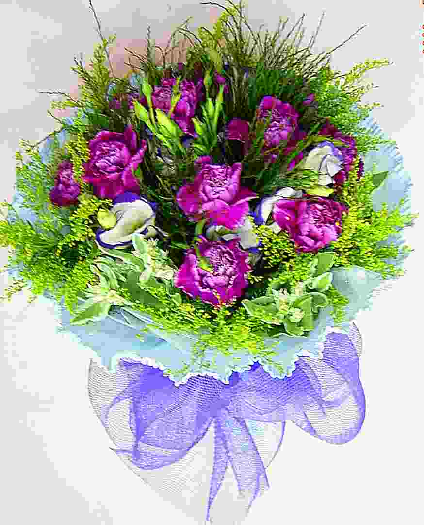 echo �d�D��;